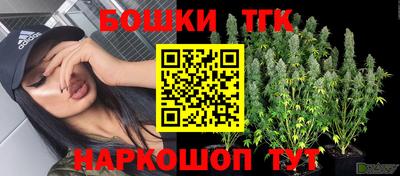 стафф Бийск